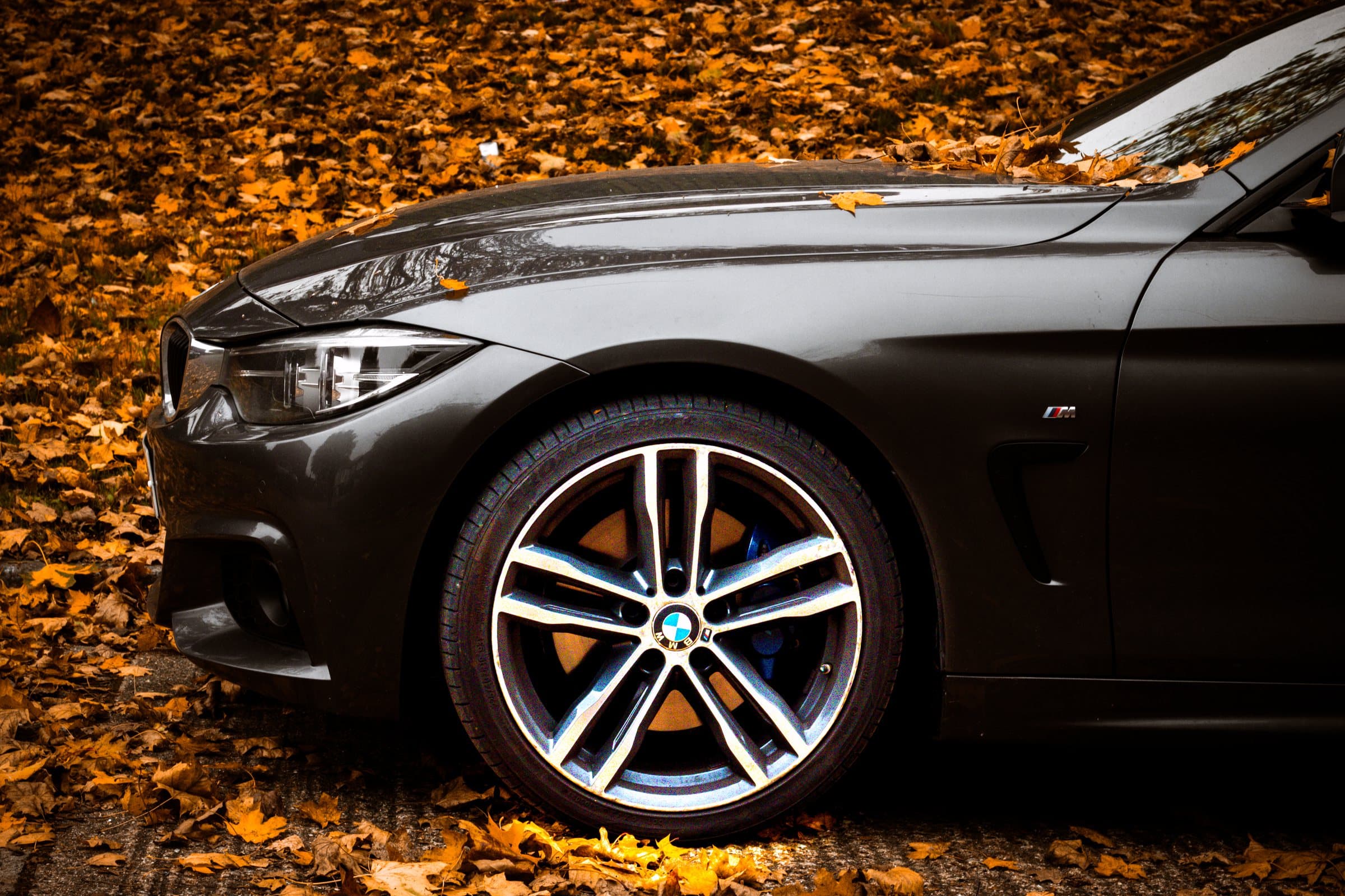 Automotive details gallery image 3