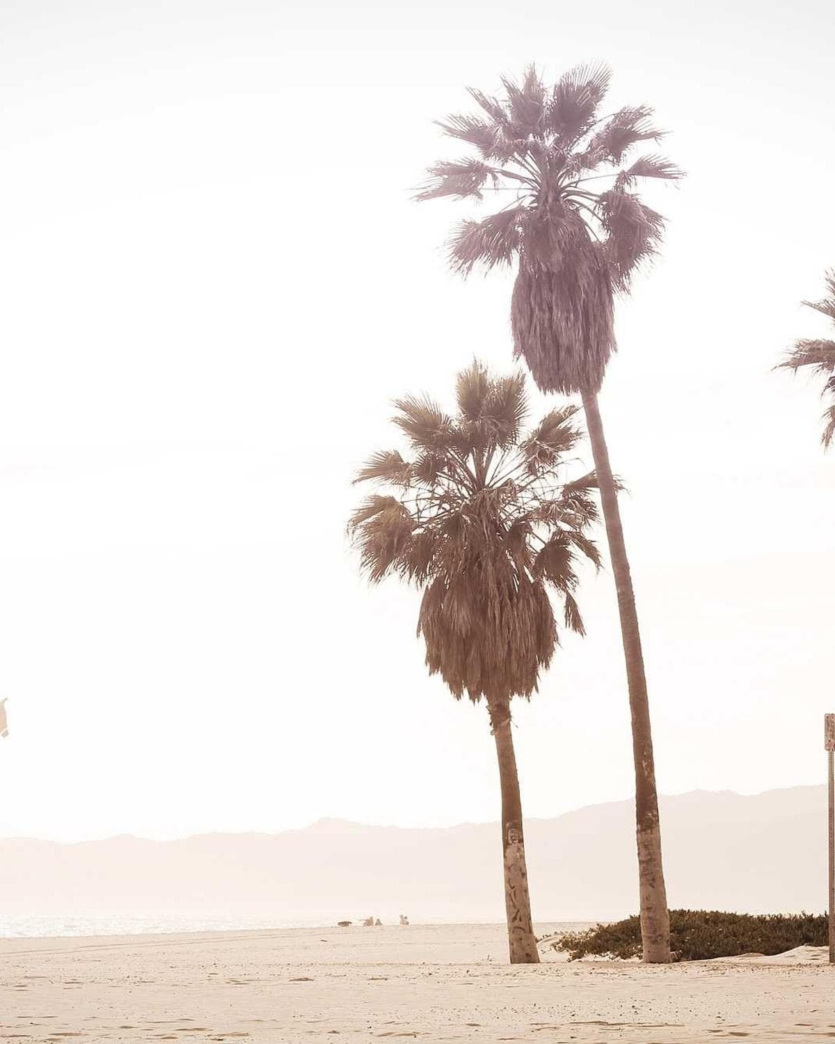 B Square Production contact page background