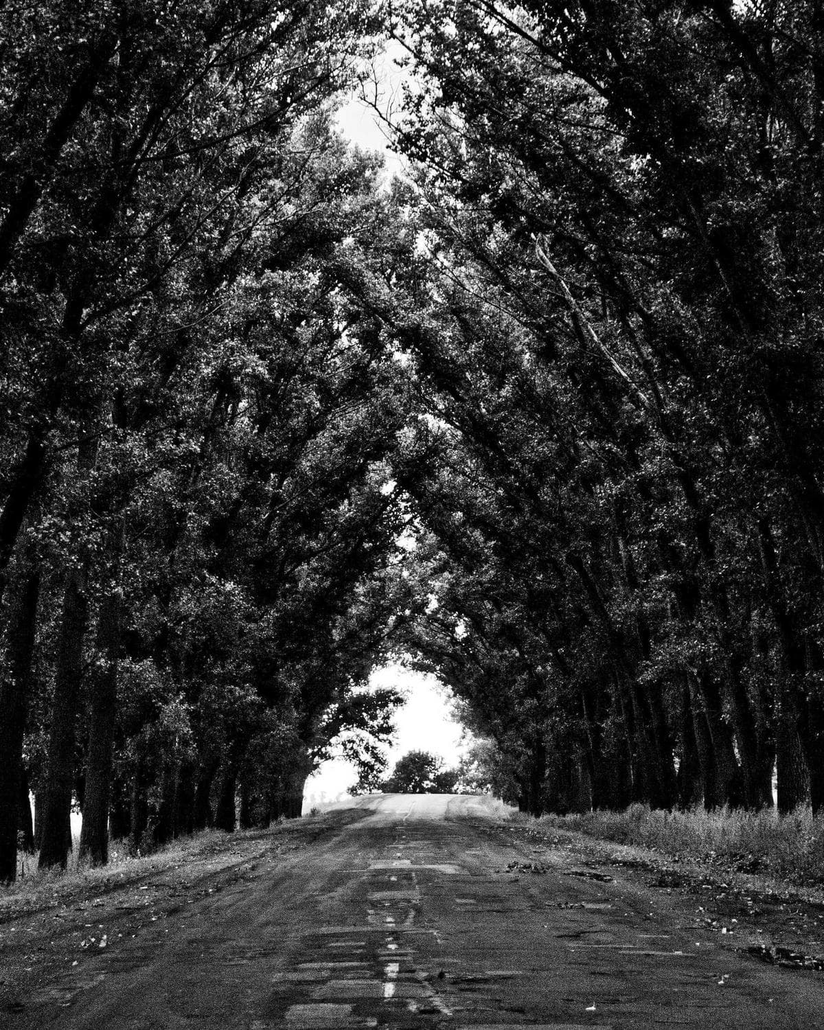 Editorial portrait placeholder